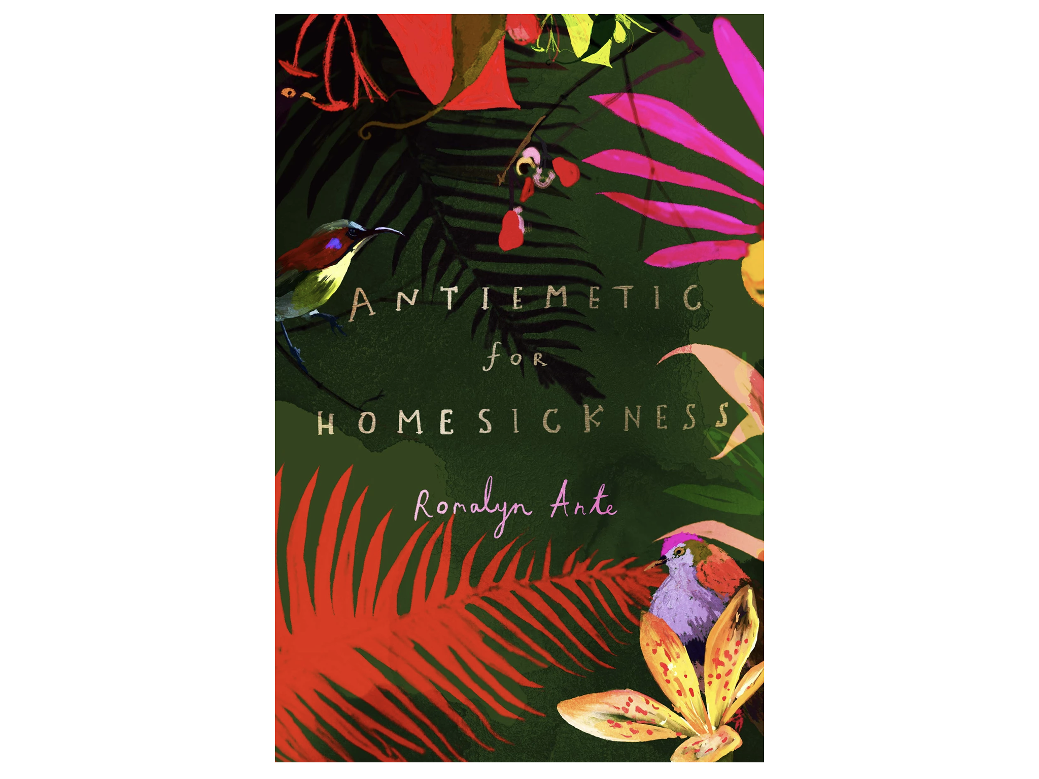 antiemetic-for-homesickness-indybest-jhalak-award.png