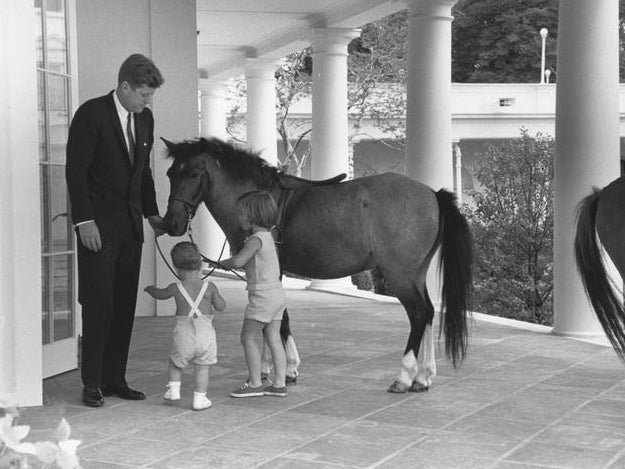 John F Kennedy and his children, John and Caroline, play with Macaroni the pony in 1962