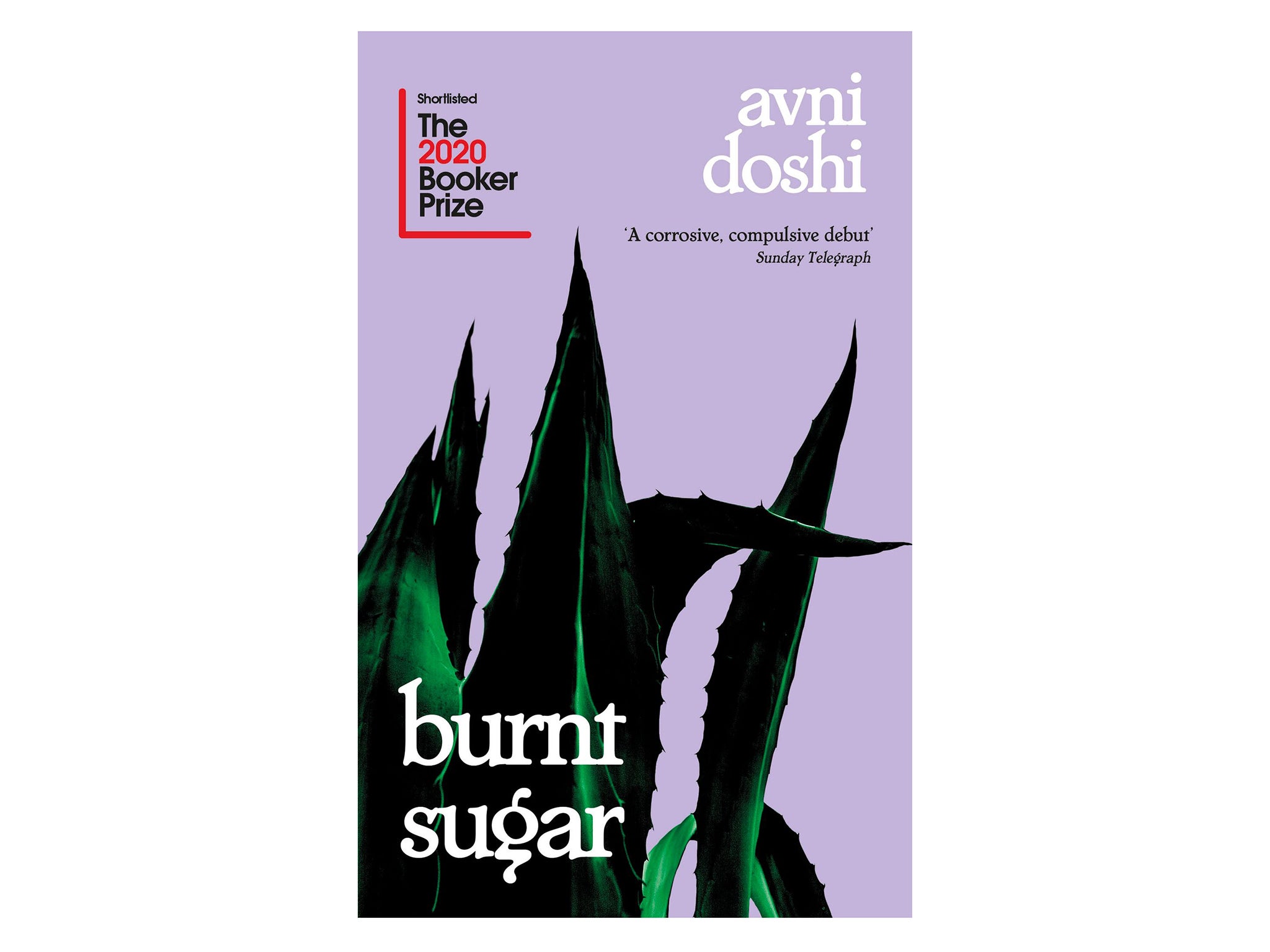 Burnt-Sugar-Avni-Doshi-indybest-womens-prize-for-fiction.jpg