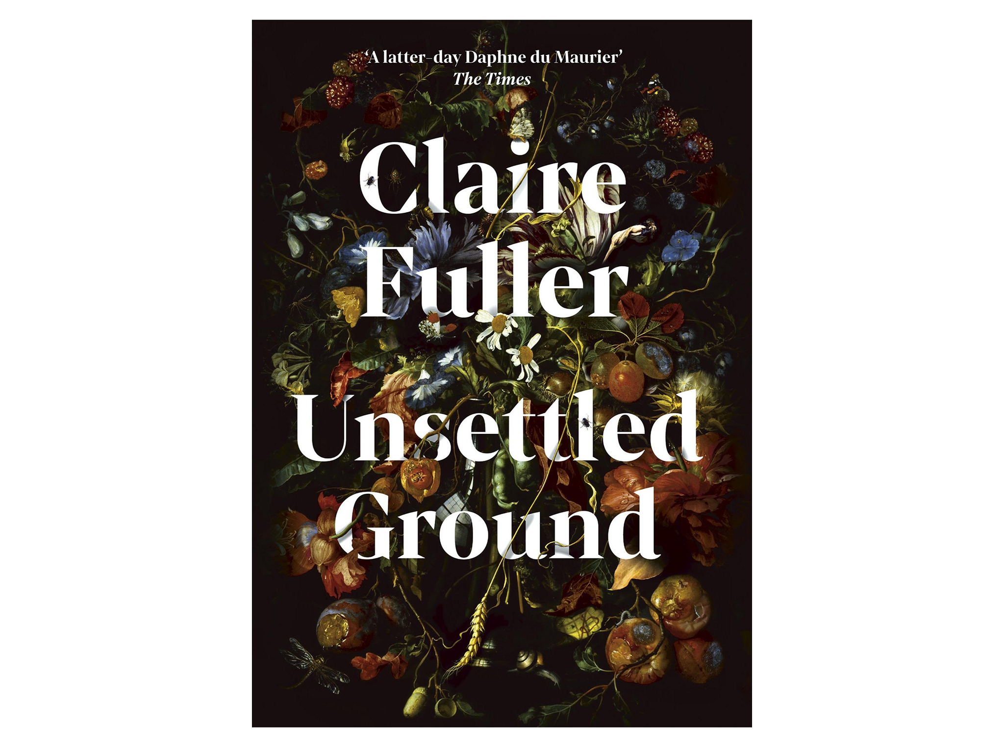 Unsettled-Ground-Claire-Fuller-indybest-womens-prize-for-fiction.png