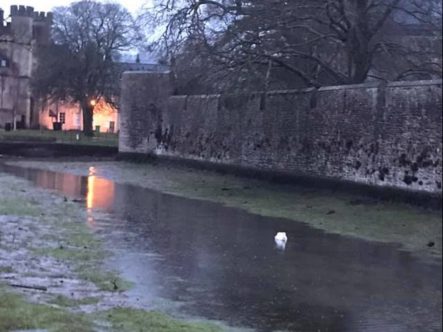 Local residents were left confused about why the moat at Bishop’s Palace in Wells was nearly empty