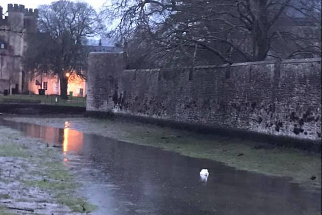 Local residents were left confused about why the moat at Bishop’s Palace in Wells was nearly empty