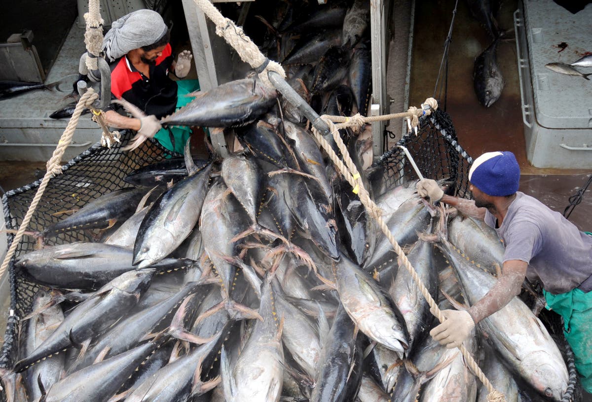 Talks begin to protect Indian Ocean tuna as demand depletes stocks