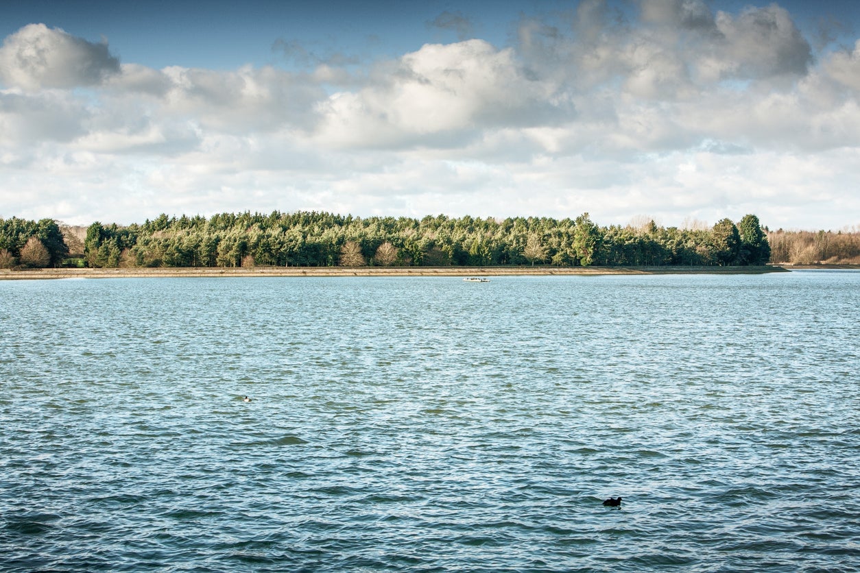 Hanningfield Reservoir offers wildlife spotting opportunities