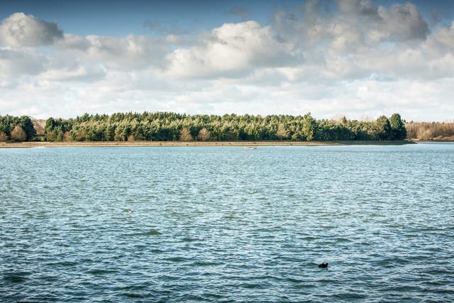 <p>Hanningfield Reservoir</p>