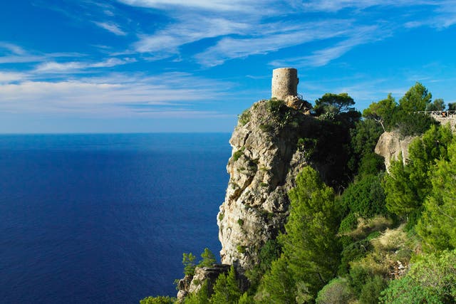 <p>Mallorca is getting greener</p>