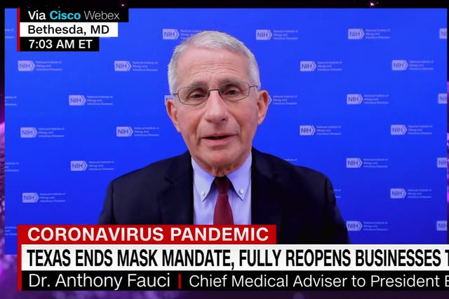 <p>Dr Anthony Fauci on Wednesday</p>