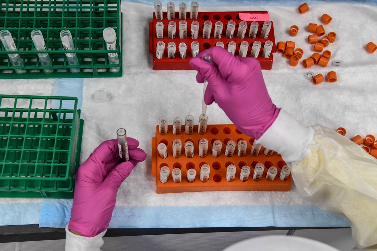 5 health experts reveal the simple pleasures of life after being vaccinated