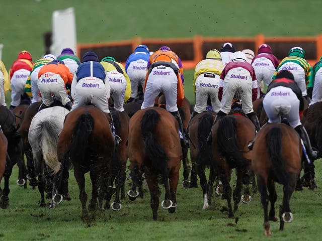 <p>Four days of racing will be held at Cheltenham Festival this week </p>