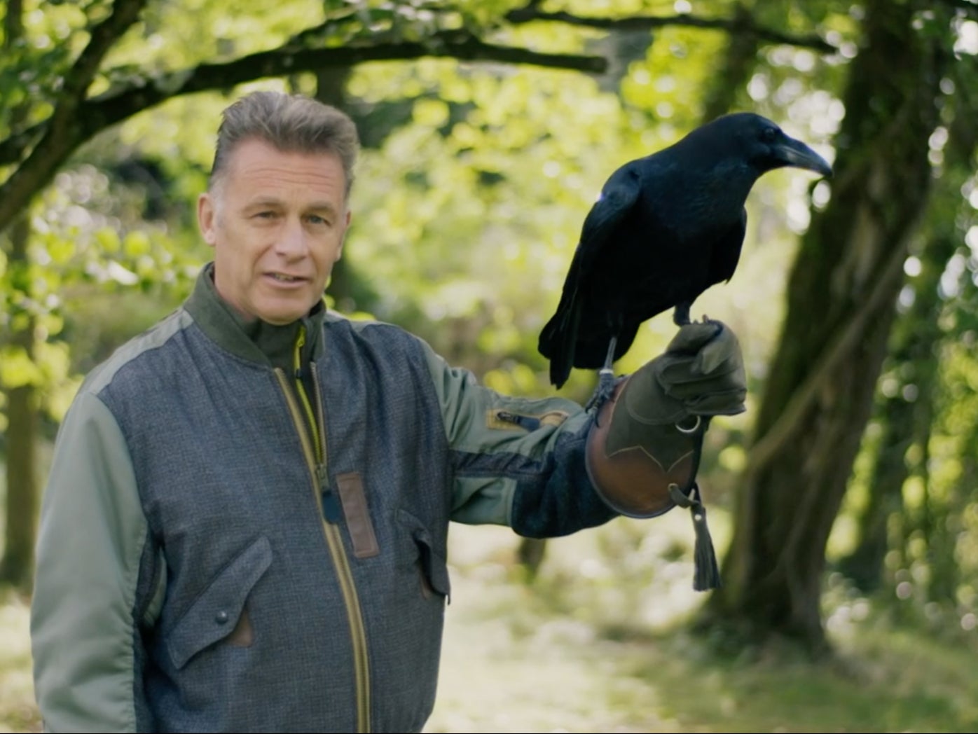 Chris Packham with Bran the raven - a species of bird with better problem solving skills than a five-year-old human child