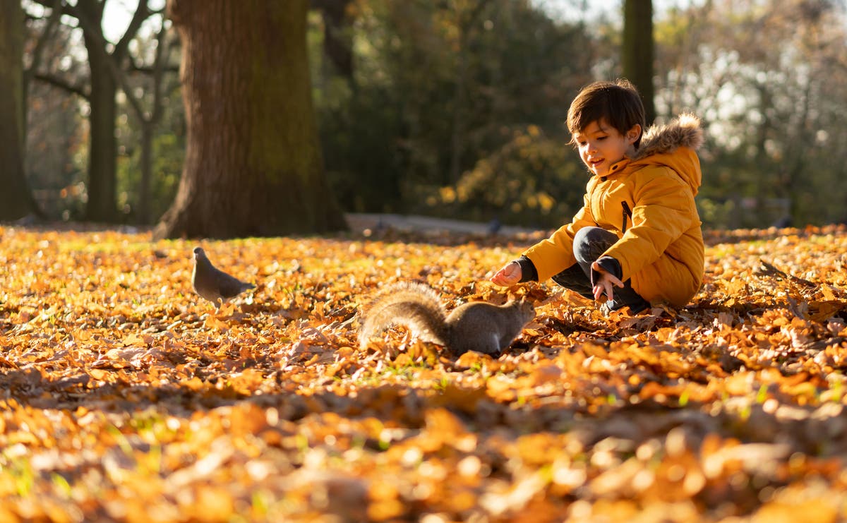 ‘If in doubt, send them out!’ Rewilding your children post-pandemic