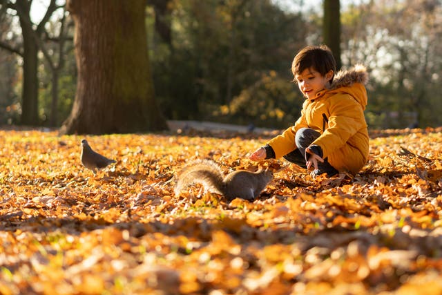 <p>Some kids may have lost the habit of playing outside over the past year</p>