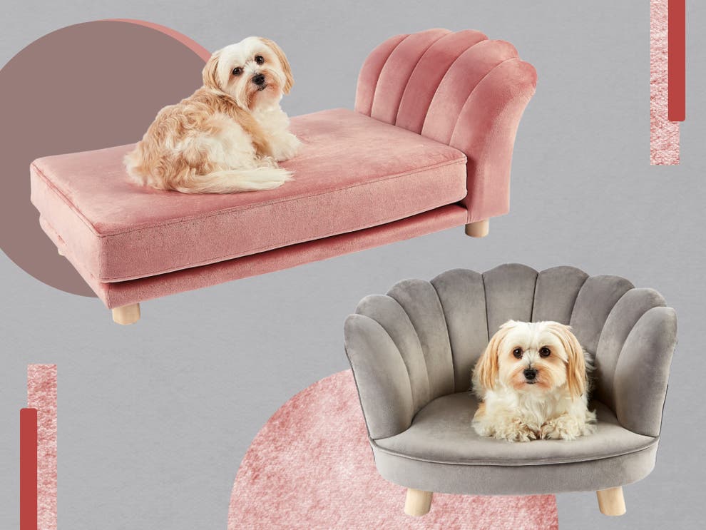 Aldi launches scalloped dog bed range Here’s how to buy it The