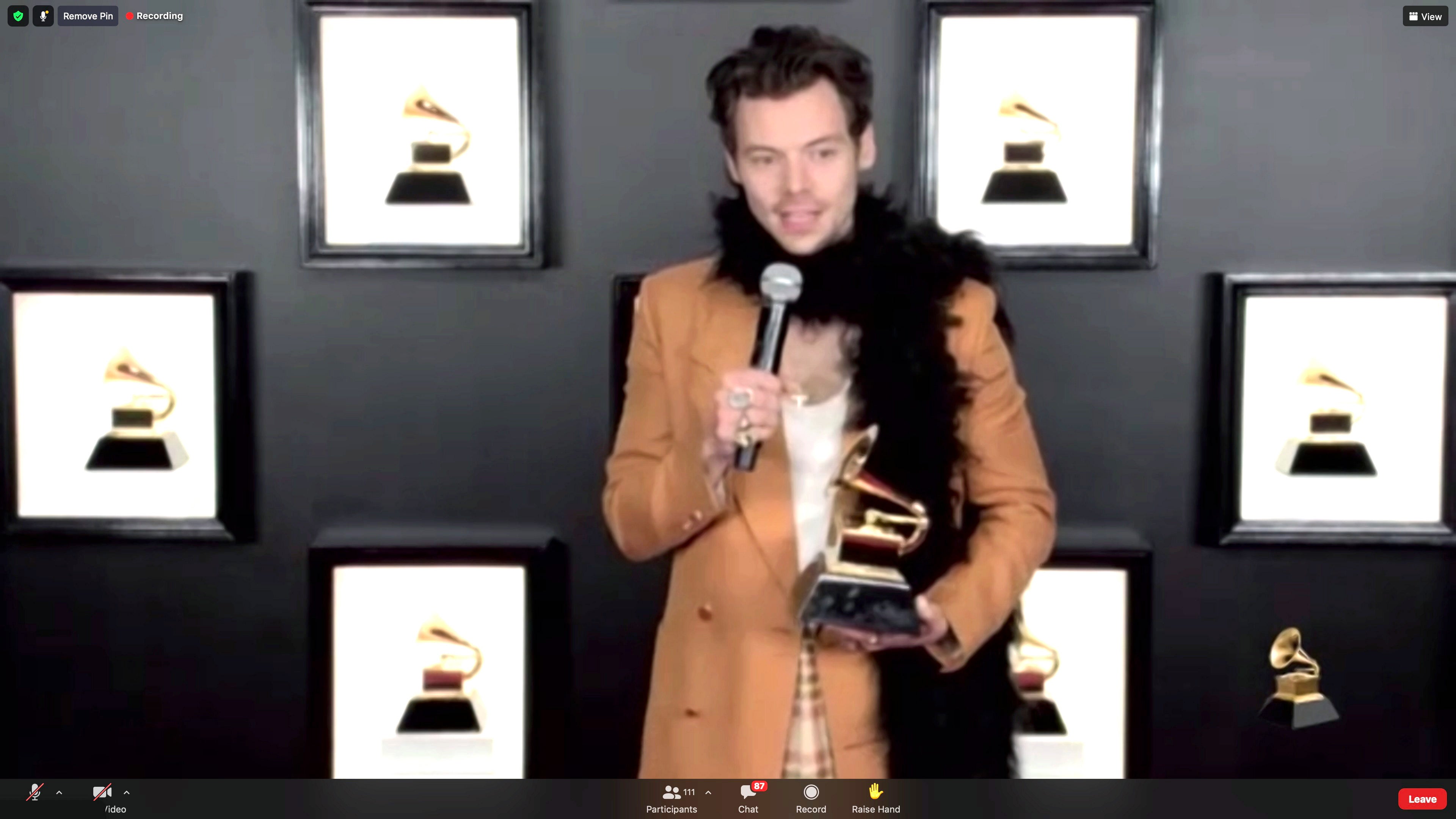 Harry Styles won his first Grammy