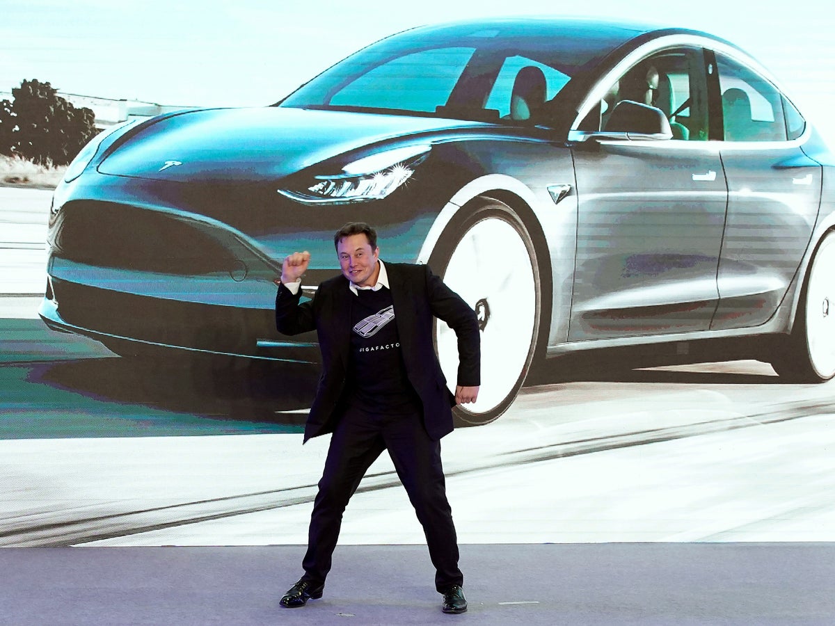 Elon Musk names himself 'TechnoKing of Tesla' | The Independent