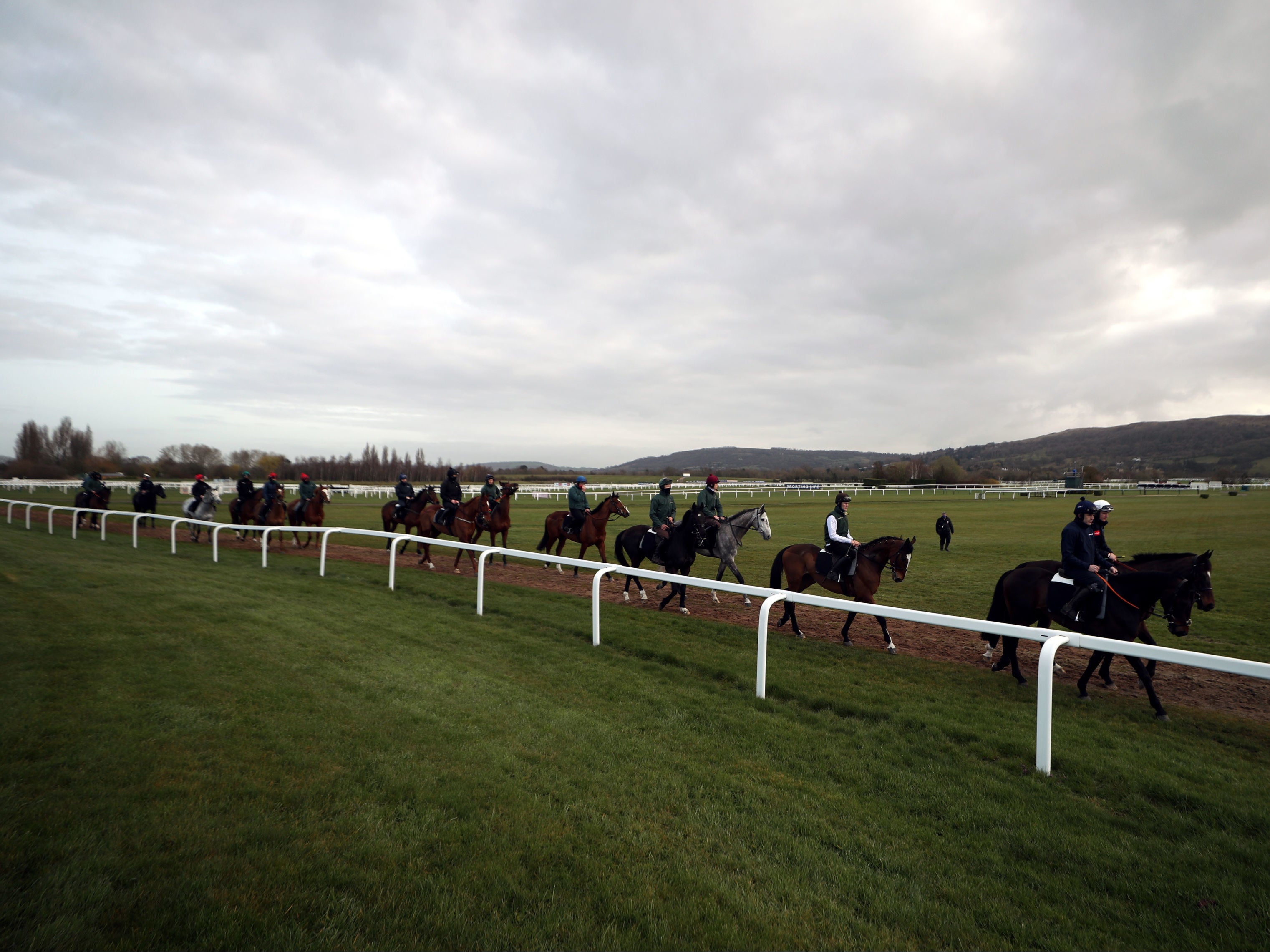 Willie Mullins' stable on the gallops at Cheltenham Racecourse
