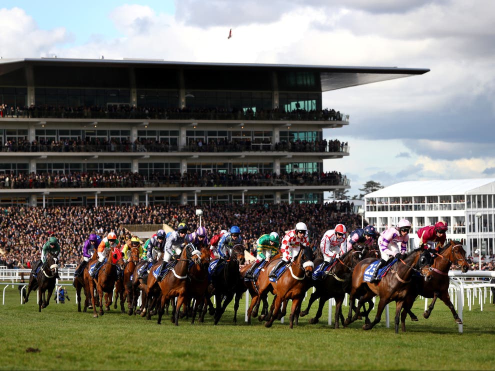 When does Cheltenham Festival start? Race schedule, times and TV
