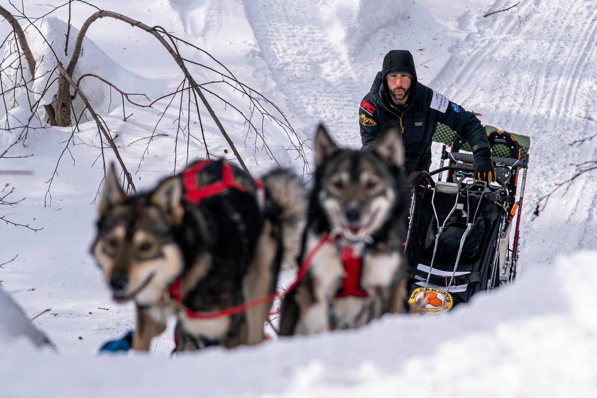 The climate crisis is eating away at the trail of the world’s most famous dog-sled race