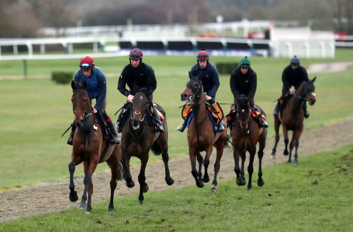 Cheltenham Festival 2021 LIVE: Day one racecard, schedule, tips, latest updates and results