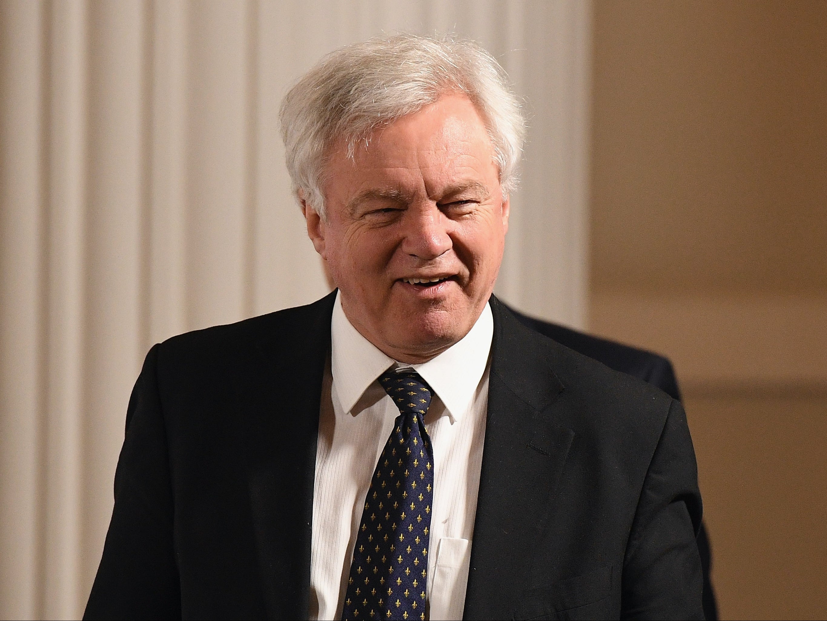 Tory MP and former Brexit minister David Davis