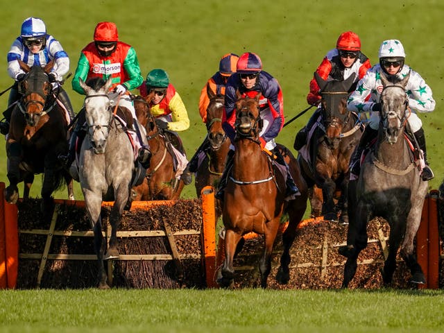 A general view of Cheltenham Festival