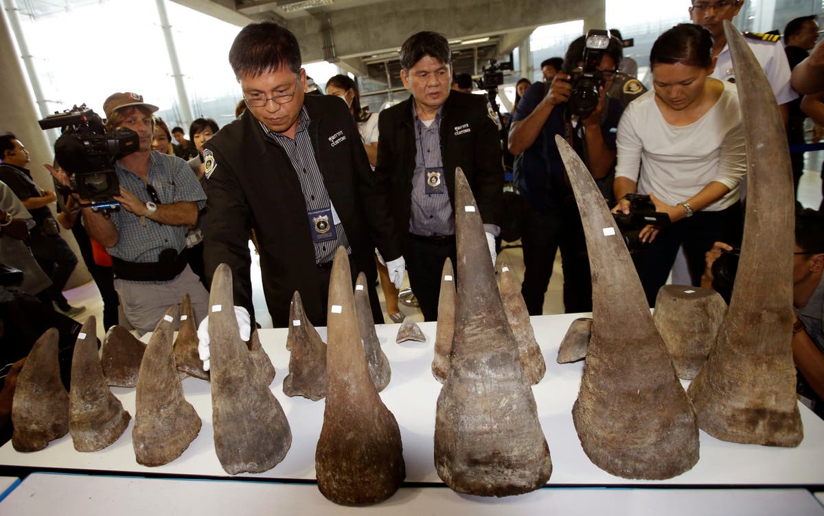 Thailand says $11M seized in wildlife trafficking sting