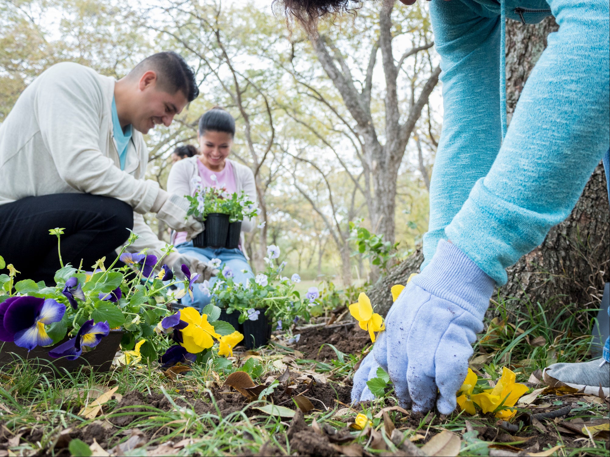 <p>Find an existing group in your local area doing something real, such as a rewilding project with fruit tree planting included, running a green gym or maintaining a community garden</p>