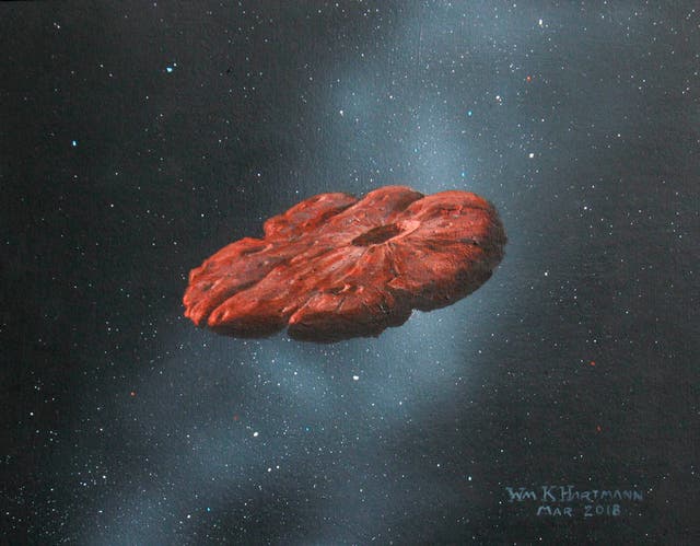 Interstellar Visitor