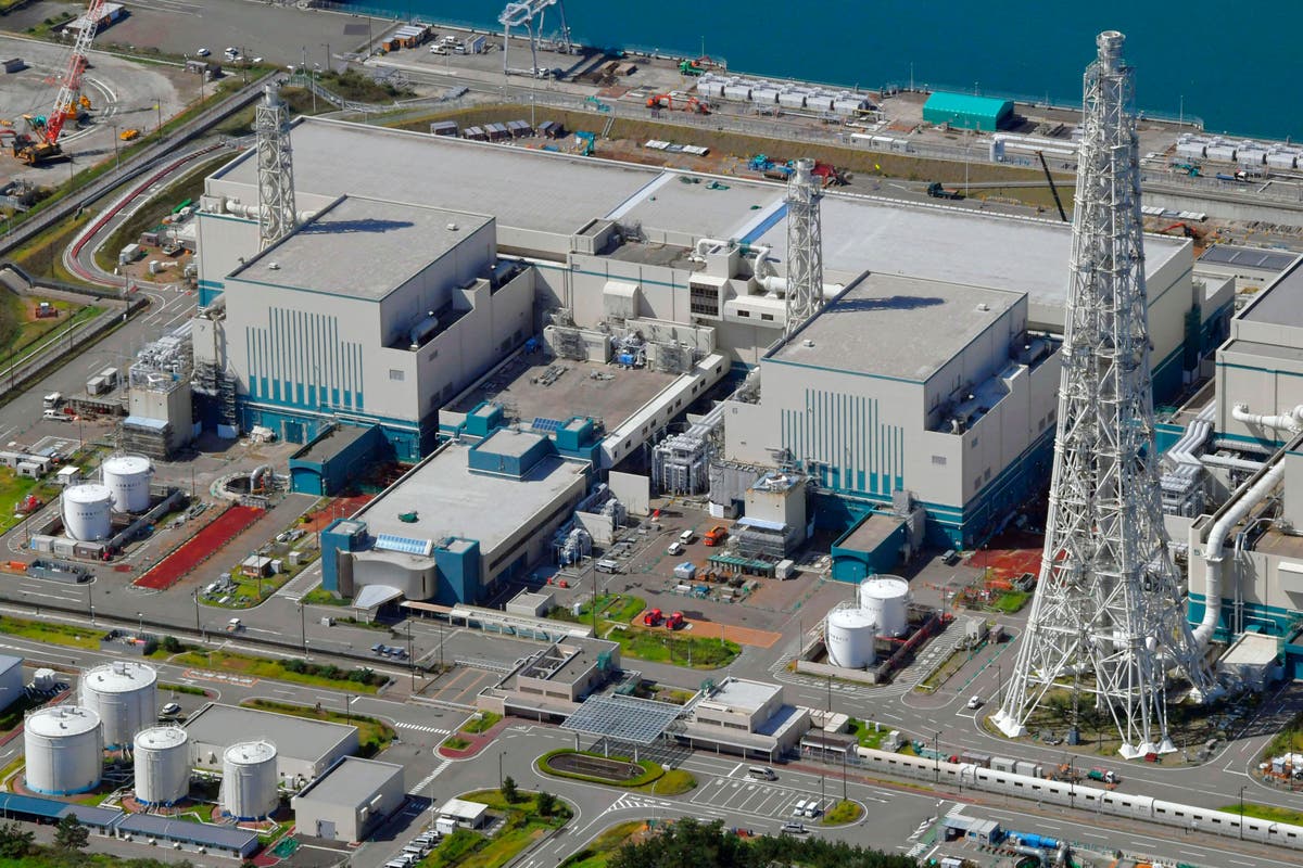 Japanese regulators say TEPCO nuclear plant prone to attack 