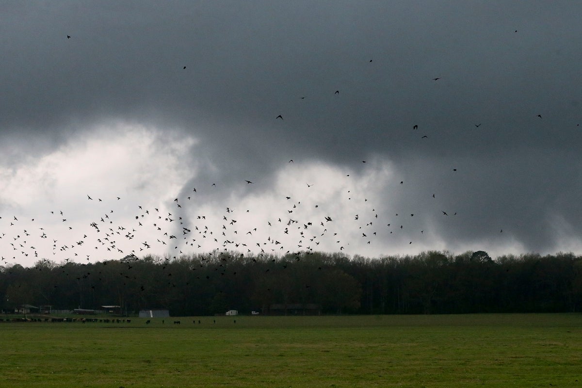 Severe storms, tornadoes possible across the Deep South Tuscaloosa ...