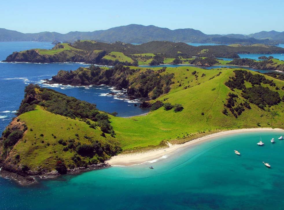 New Zealand-Australia travel bubble could open from April ...