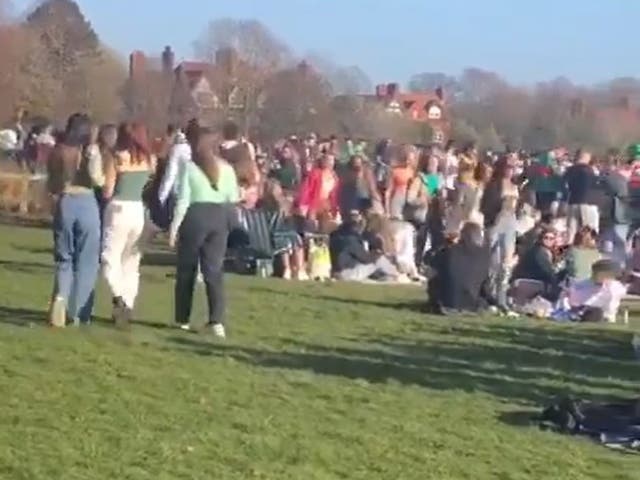 Revellers in Sefton Park, Liverpool