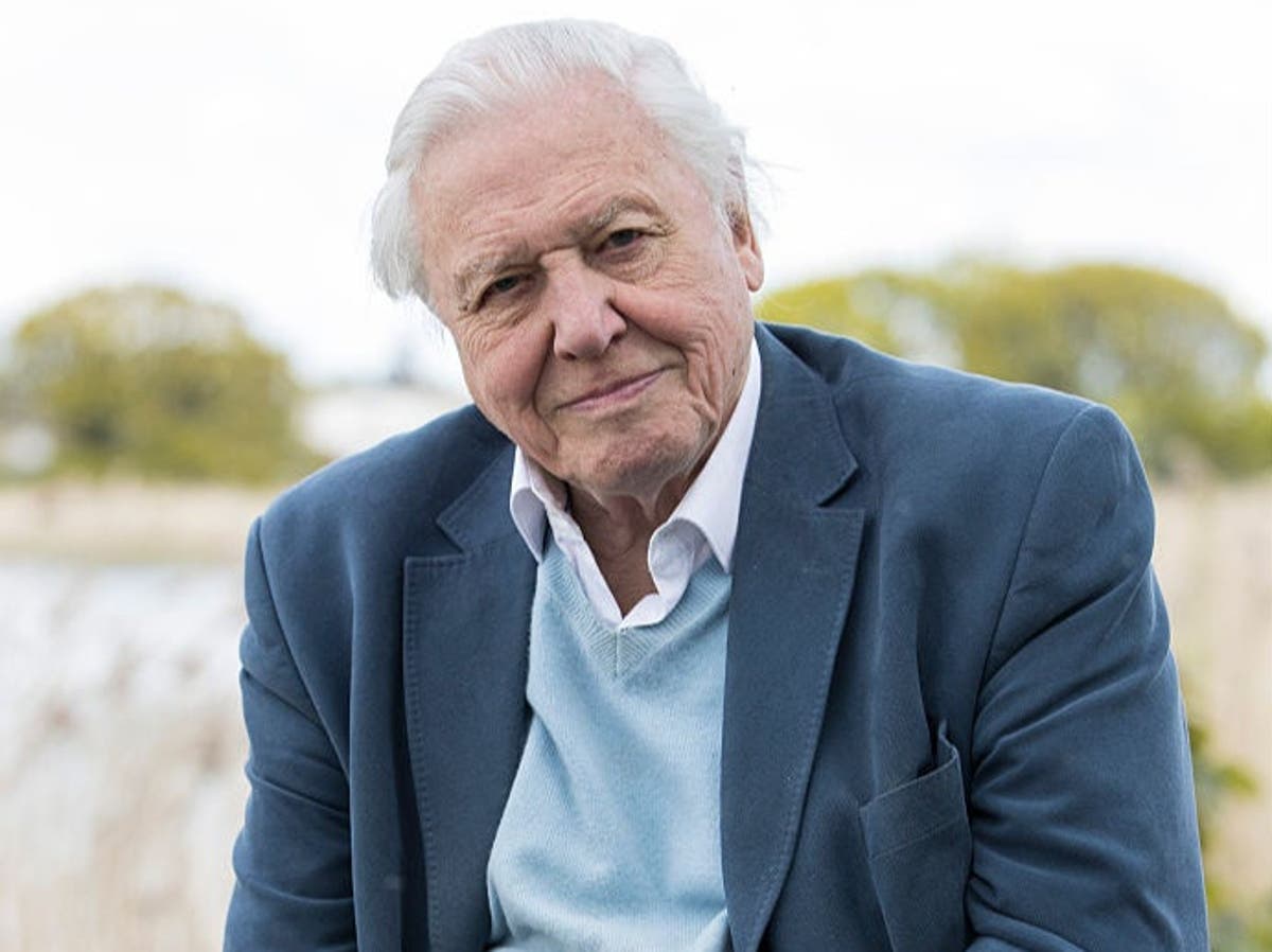 David Attenborough turns 95: His best quotes on nature, sustainability and humankind David Attenborough turns 95: His best quotes on nature, sustainability and humankind