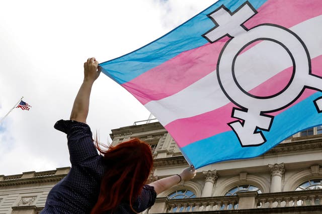 <p>A version of the Trans flag  </p>
