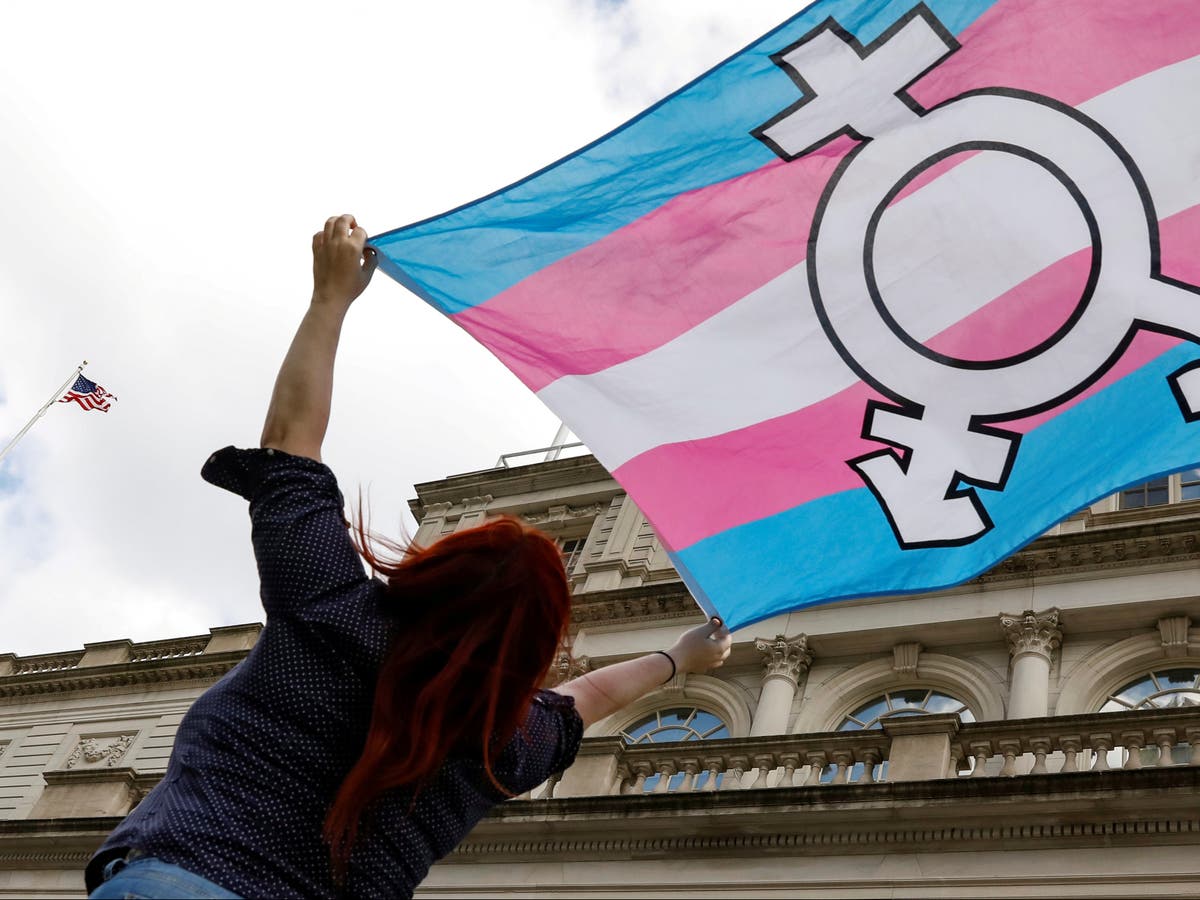Arkansas bans transition care for transgender minors