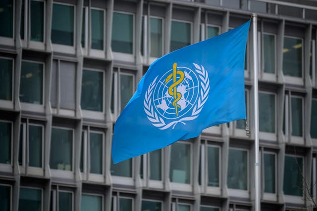 This photograph taken on March 5, 2021 shows the flag of the World Health Organization (WHO) at their headquarters in Geneva amid the Covid-19 coronavirus outbreak. WHO researchers working in collaboration with colleagues in China are expected to produce a report on the origins of the coronavirus.