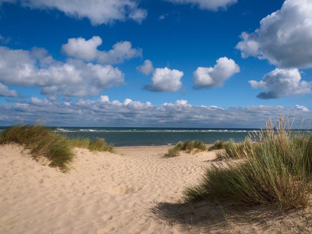 <p>Breezy Holkham Beach in Norfolk</p>