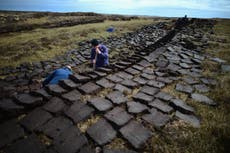 RHS commits to going peat-free by 2025 and urges gardeners to follow suit