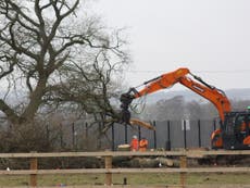 HS2 accused of destroying bird boxes as workers fell ancient oak trees