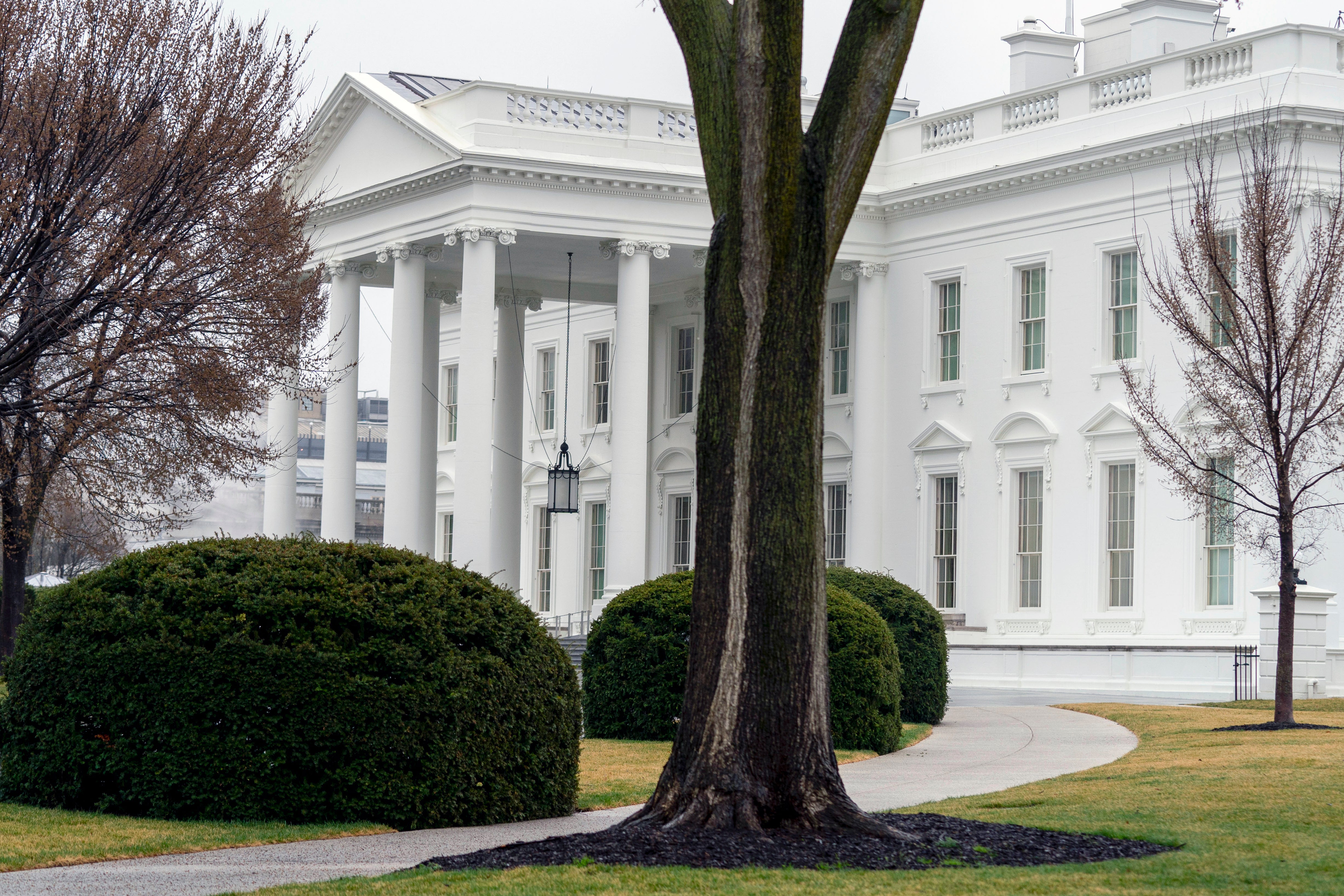 White House Marijuana