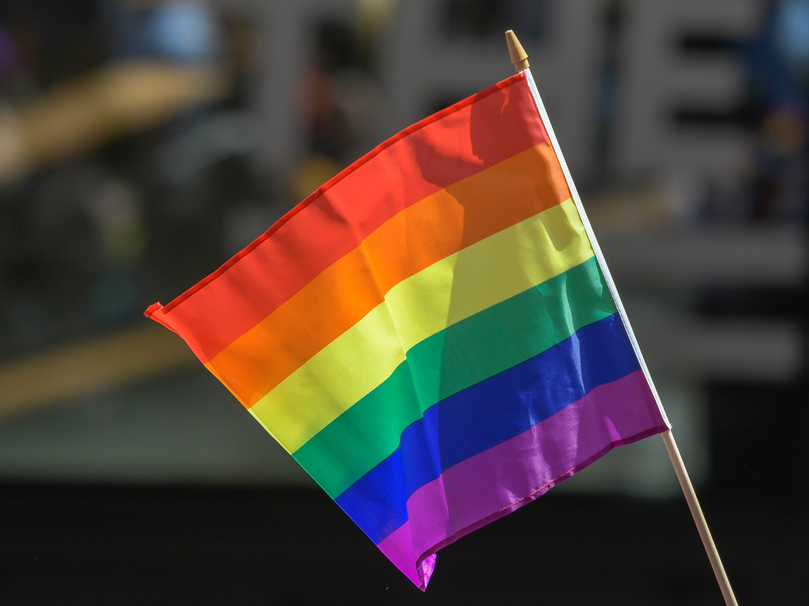 The Pride flag