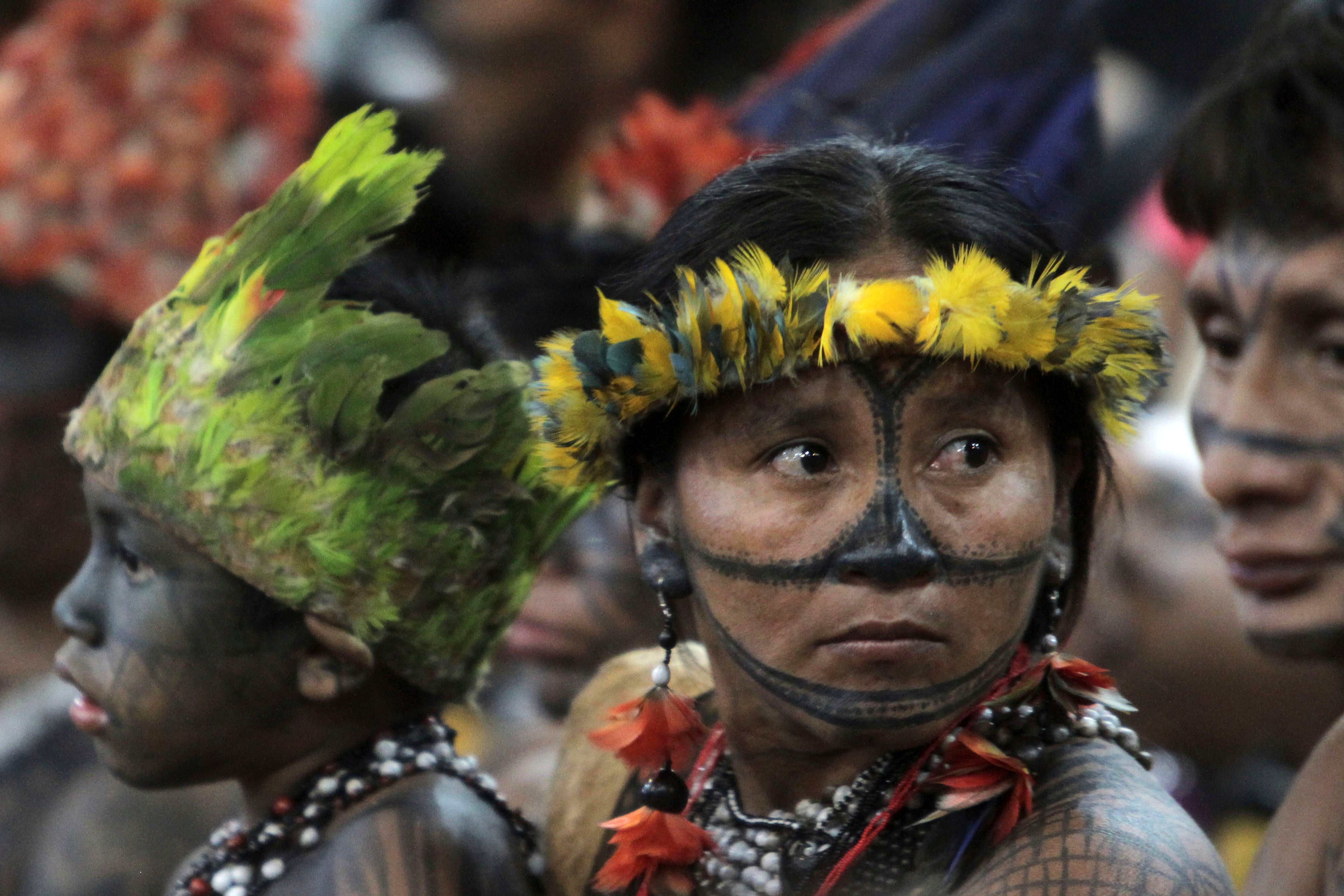 Brazil Indigenous