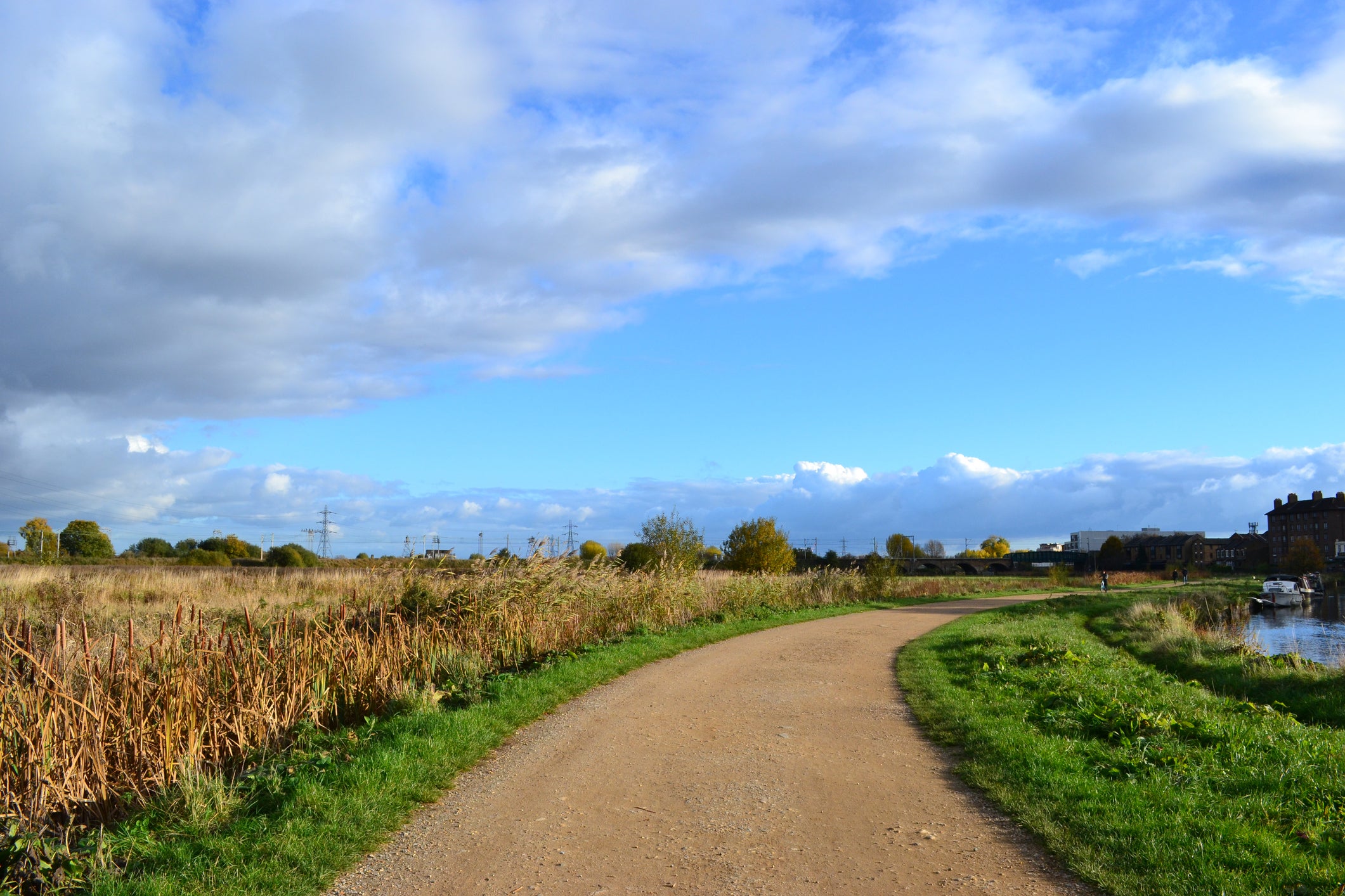 Walthamstow Marshes