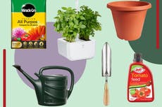 Everything you need to create your own herb garden, according to an RHS expert