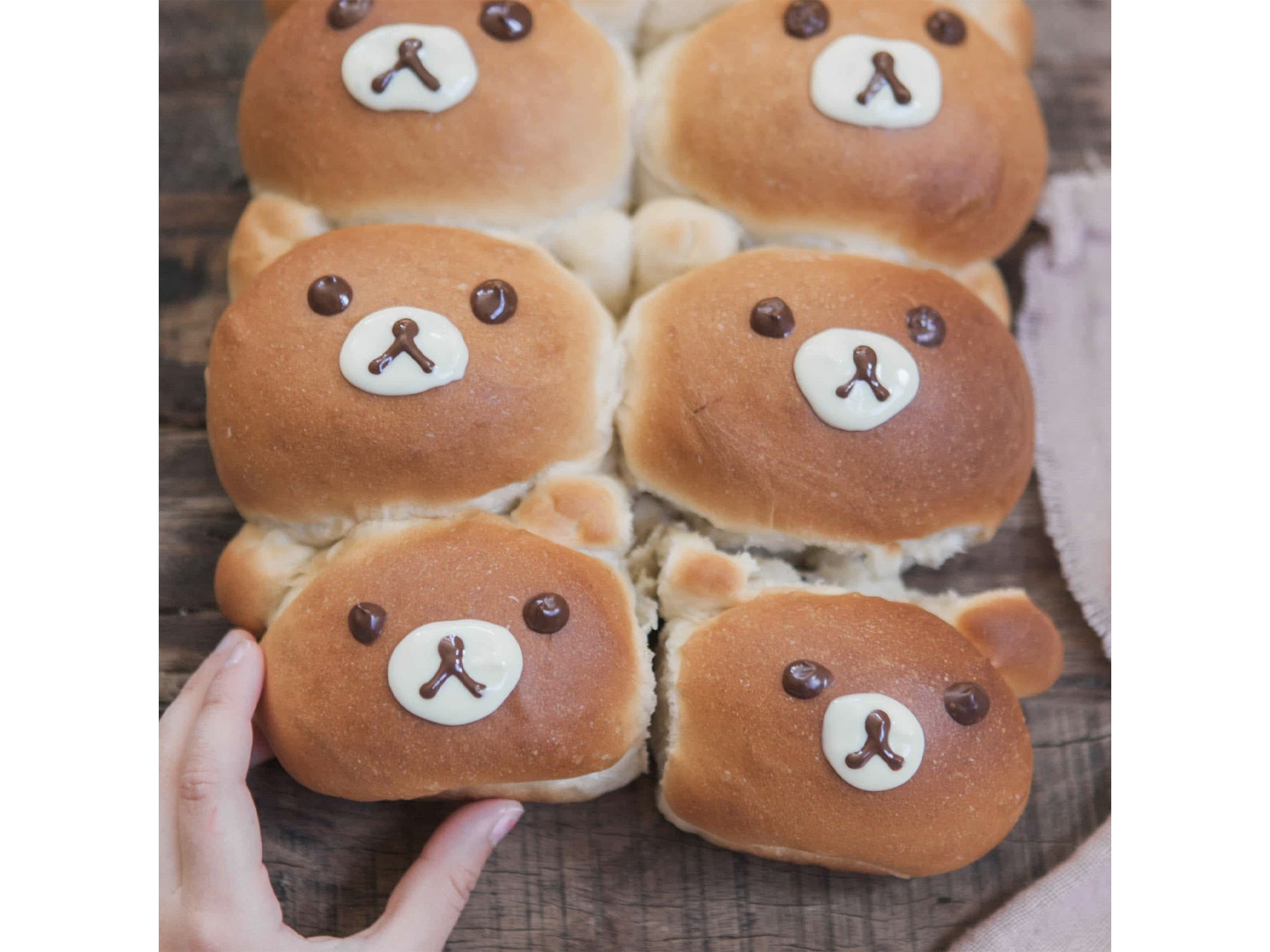 Teddy hot cross buns .jpg