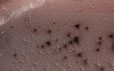 Scientists make breakthrough in finding explanation for ‘spiders from Mars’