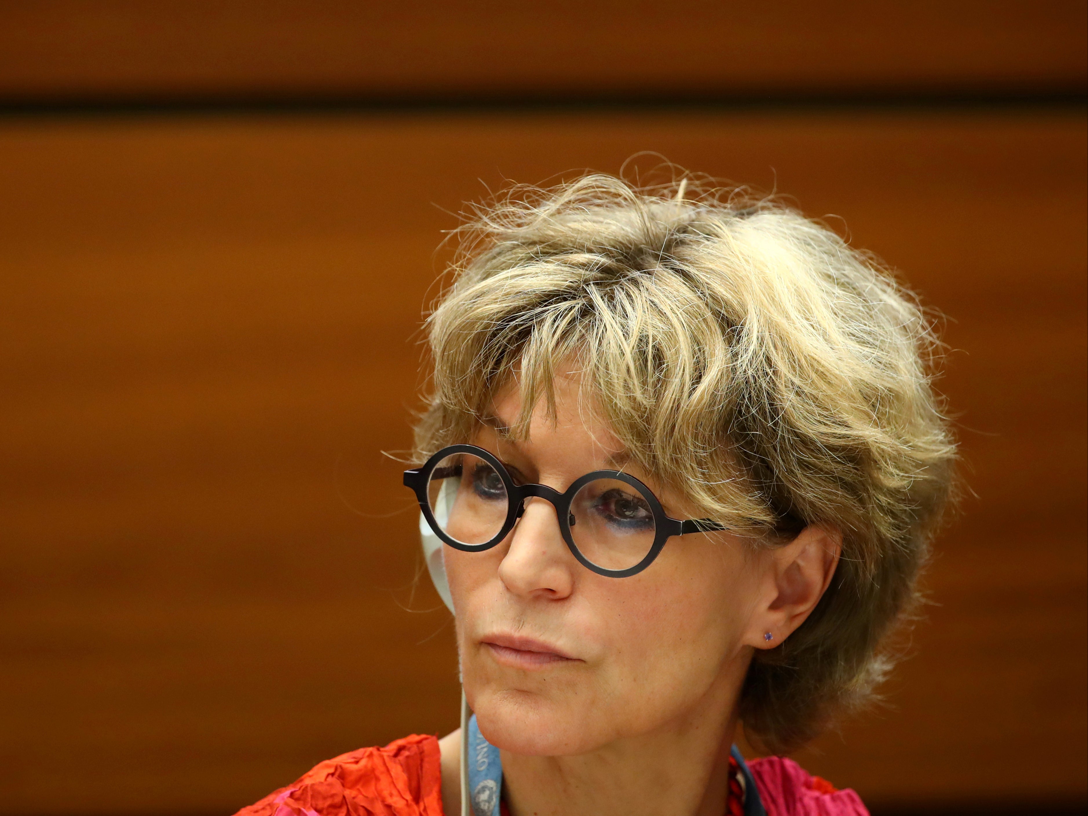 Agnes Callamard is the UN special rapporteur on extrajudicial executions