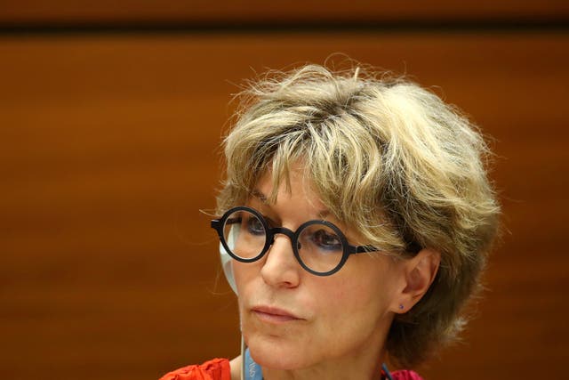 Agnes Callamard is the UN special rapporteur on extrajudicial executions 