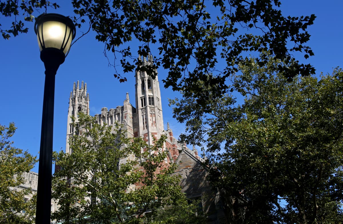 Yale lecturer sues after being fired over tweets about Trump psychosis