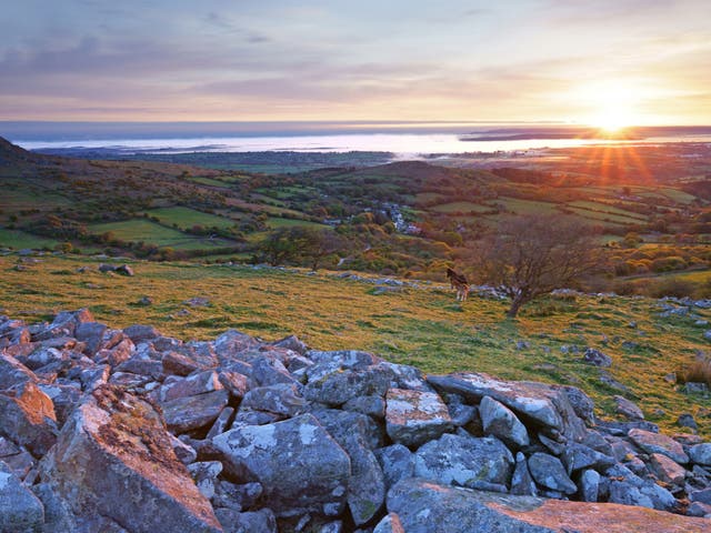 <p>The ‘Beast’ of Bodmin Moor is legendary</p>